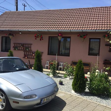 MediaşCasa Rustica Cu Terasa别墅 外观 照片