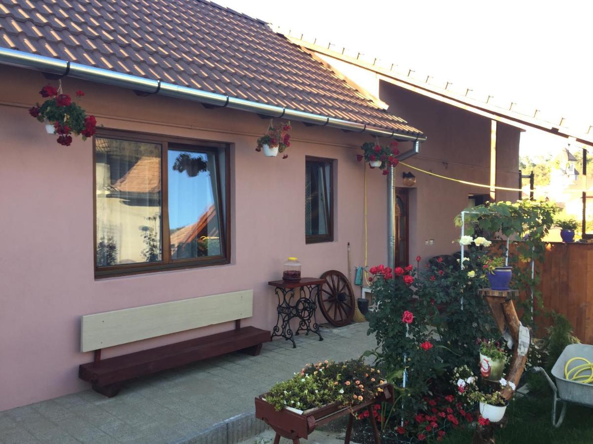 MediaşCasa Rustica Cu Terasa别墅 外观 照片