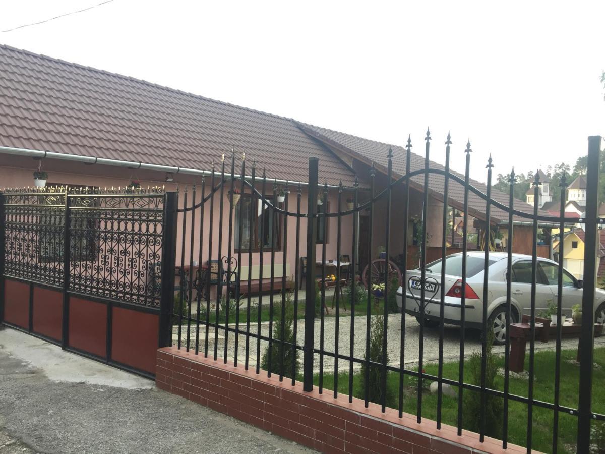 MediaşCasa Rustica Cu Terasa别墅 外观 照片