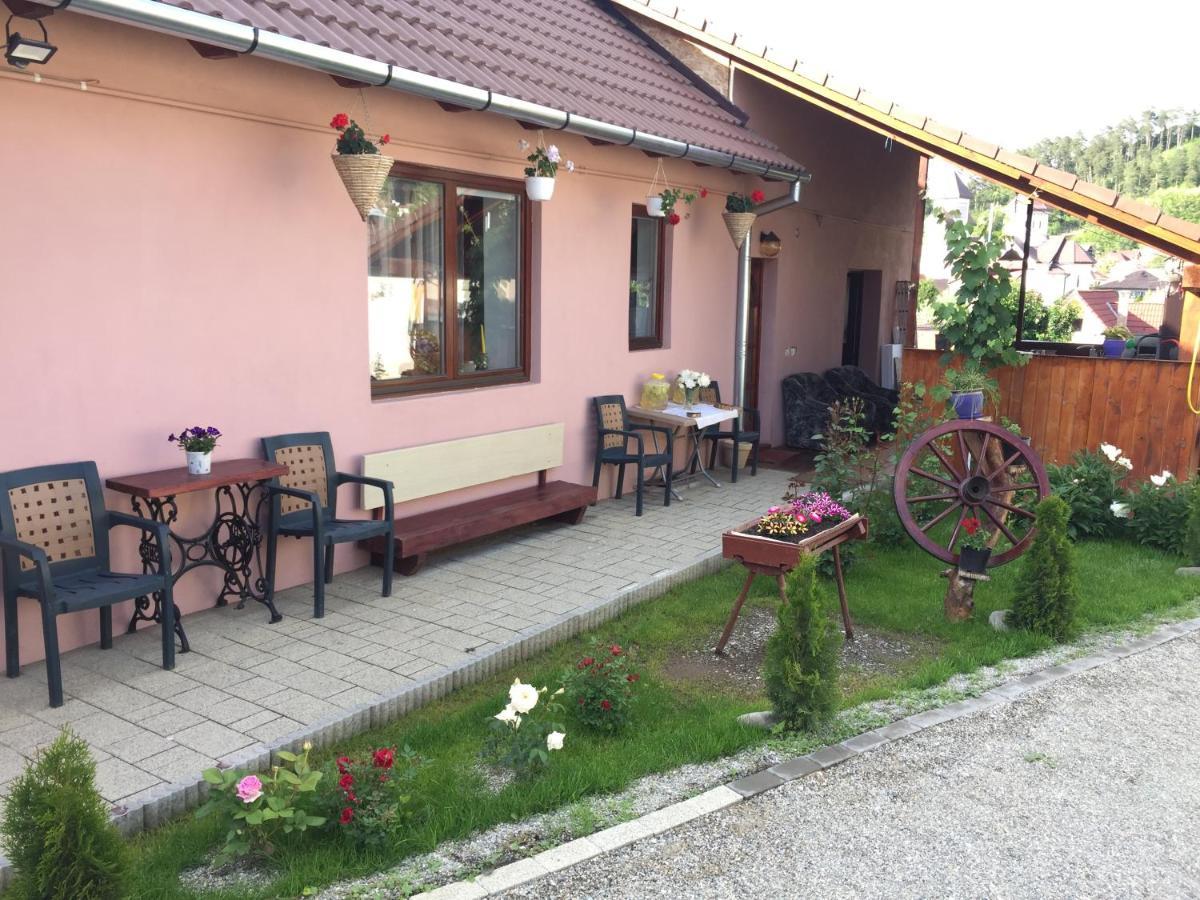 MediaşCasa Rustica Cu Terasa别墅 外观 照片