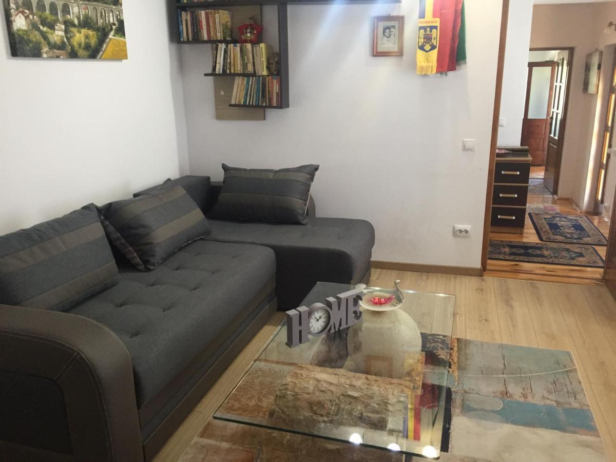 MediaşCasa Rustica Cu Terasa别墅 外观 照片